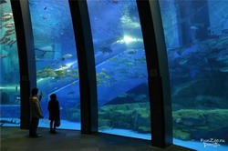 Aquarium "Kayukan"