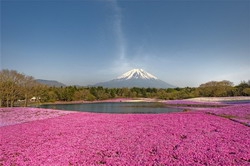 Fuji mountain.